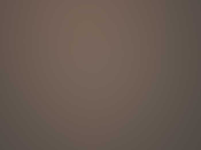 Bronze Medaille Tanzschule Pirmasens